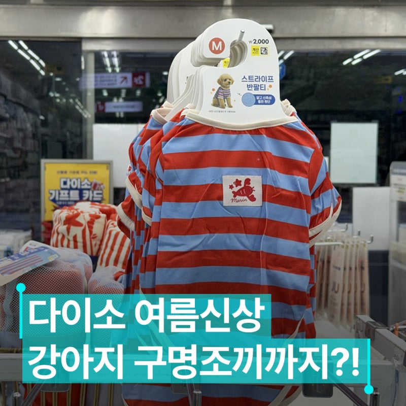 5천원으로 준비하는 다이소 강아지 여름용품 추천! 구명조끼부터 쿨매트까지!