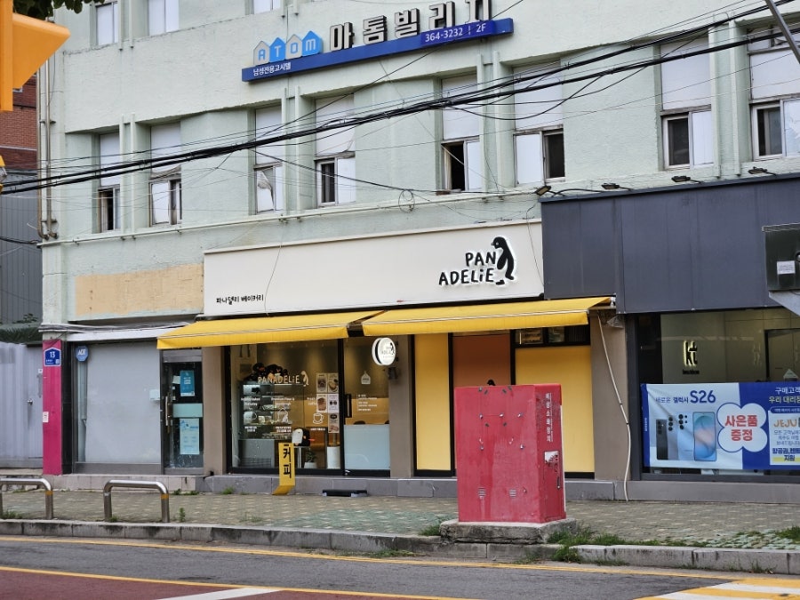 파나델리 사진 2