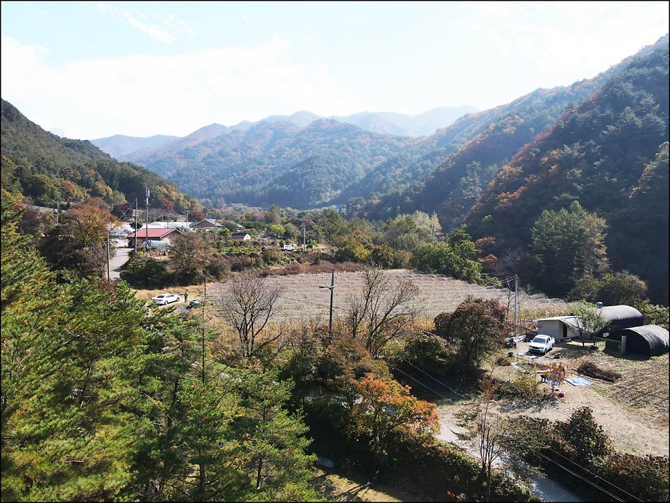 절골 사진 2
