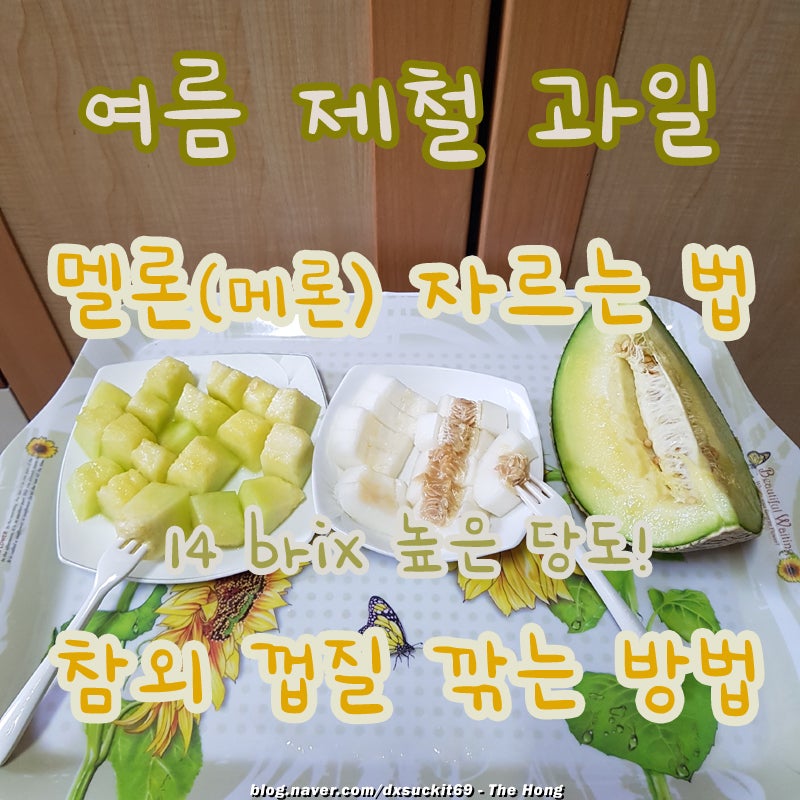 멜론 자르는법 메론 자르기 참외 껍질 깎는 방법