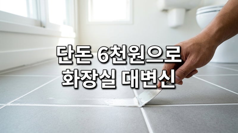 다이소 백시멘트 사용법 화장실 타일 줄눈 셀프 보수 후기