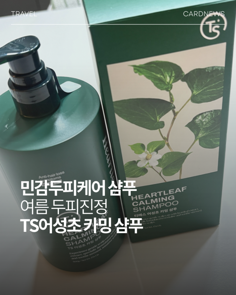 여름철 진정샴푸 찾는다면? TS어성초 카밍 샴푸 추천