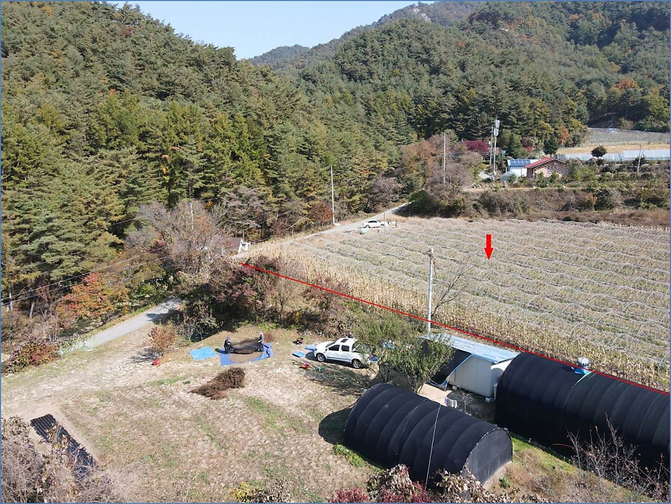 절골 사진 5
