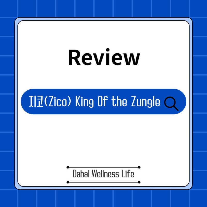 지코(Zico) King Of the Zungle 단독콘서트