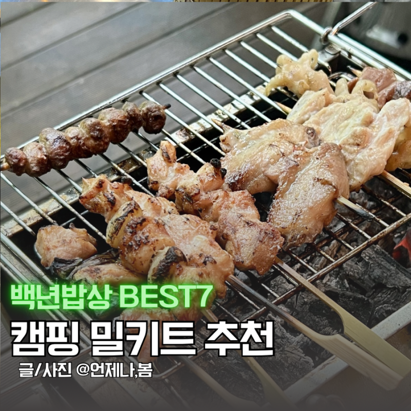 캠핑 밀키트 추천 백년밥상 닭꼬치 간단캠핑요리 술안주