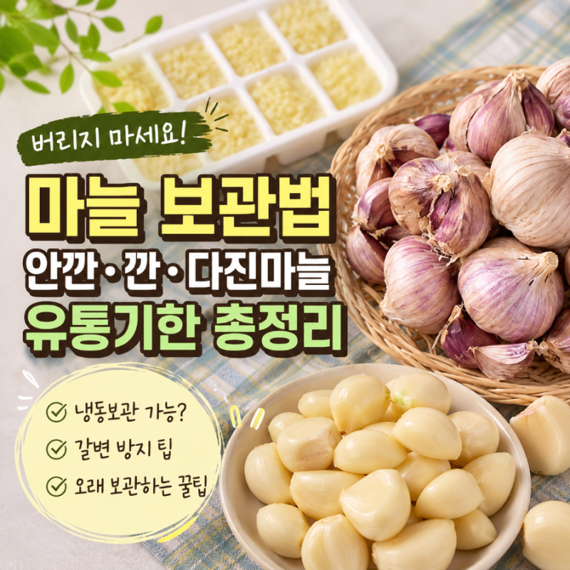 다진마늘 냉동보관 가능? 깐마늘 안깐마늘 보관법, 유통기한