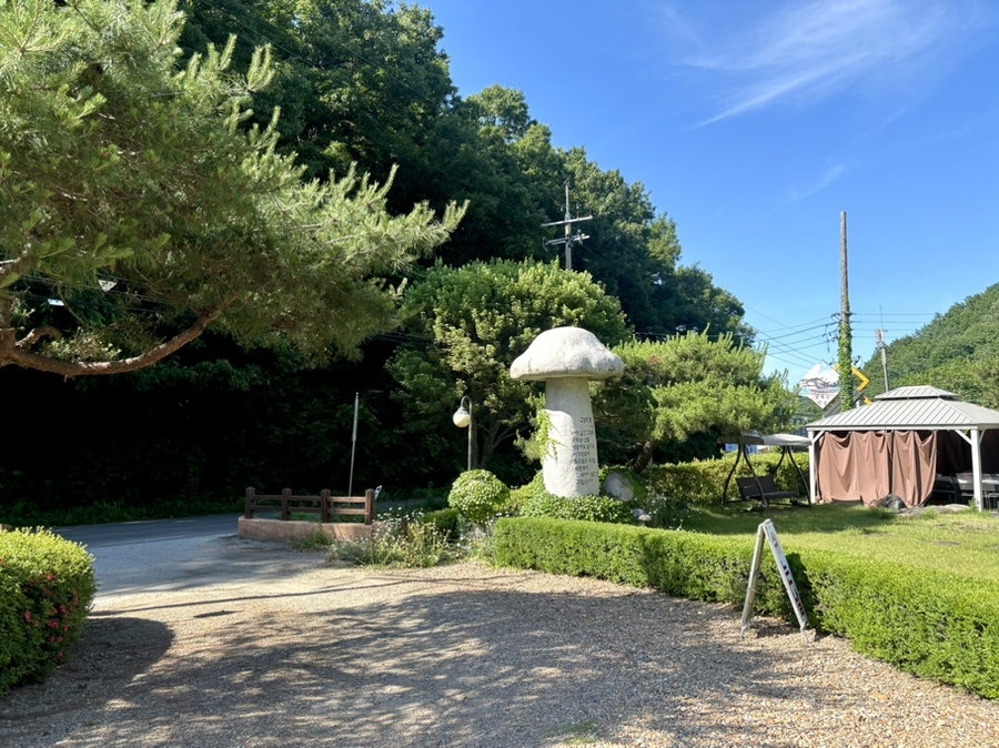 산골 사진 5