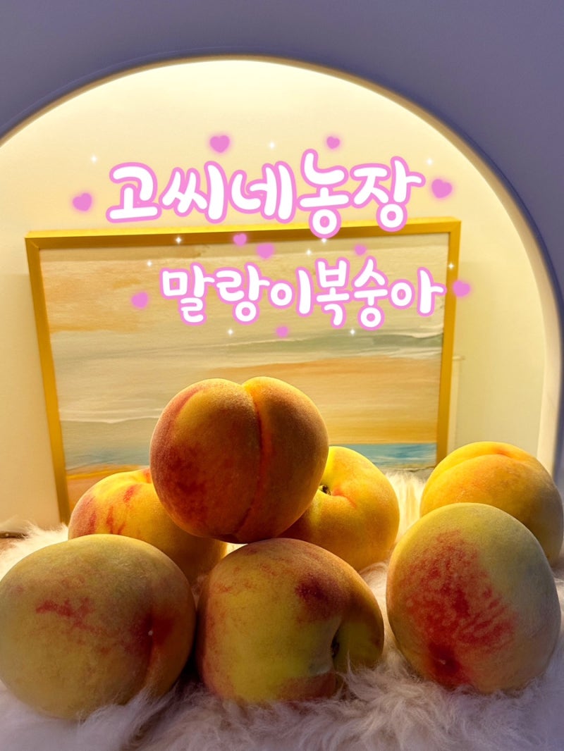 여름과일 복숭아추천 "고씨네농장 말랑이복숭아" 복숭아디저트레시피 (그릭모모, 복숭아샐....