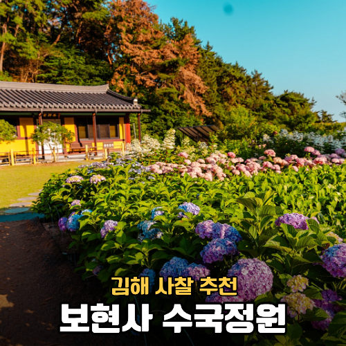 [김해 사찰 추천] 보현사 수국정원 방문 후기