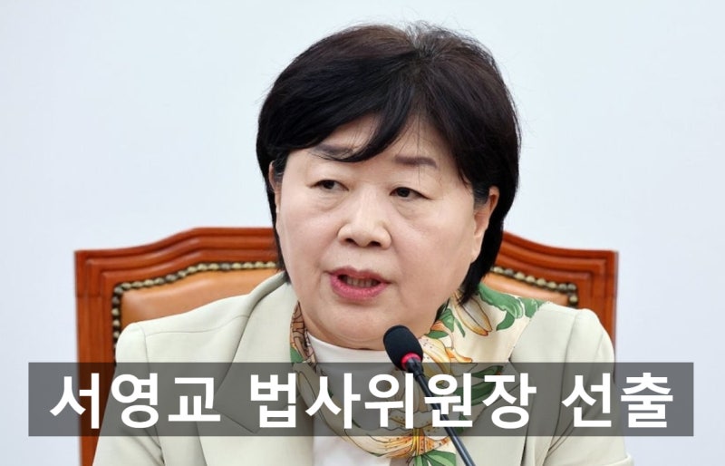 법사위원장 뜻에 담긴 권한과 서영교 의원 선출의 의미