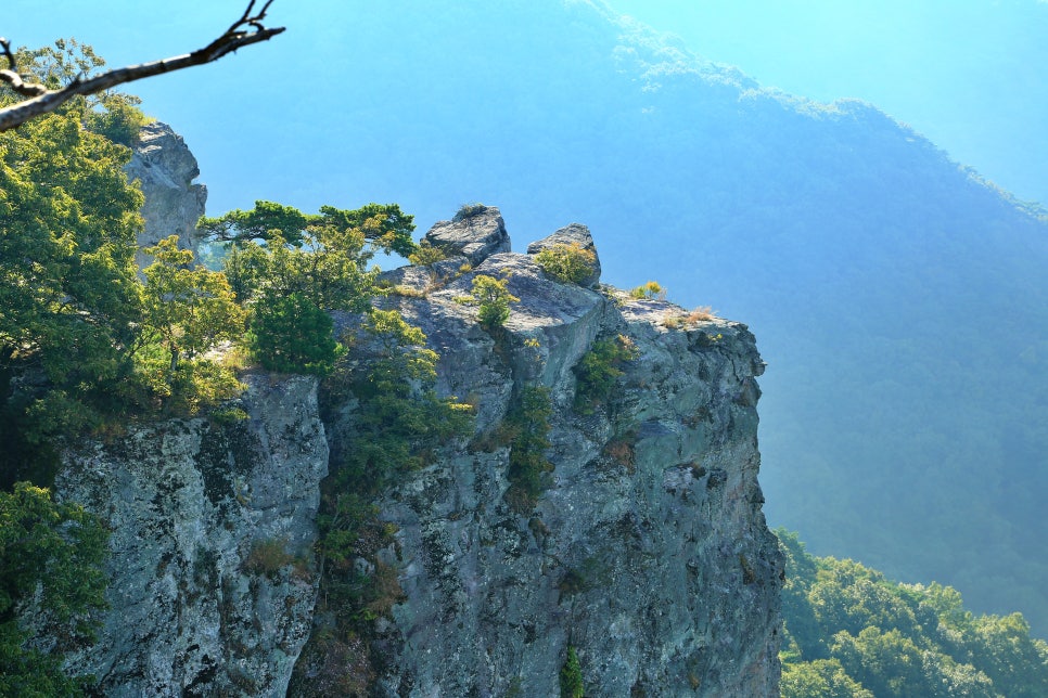 안양산 사진 3