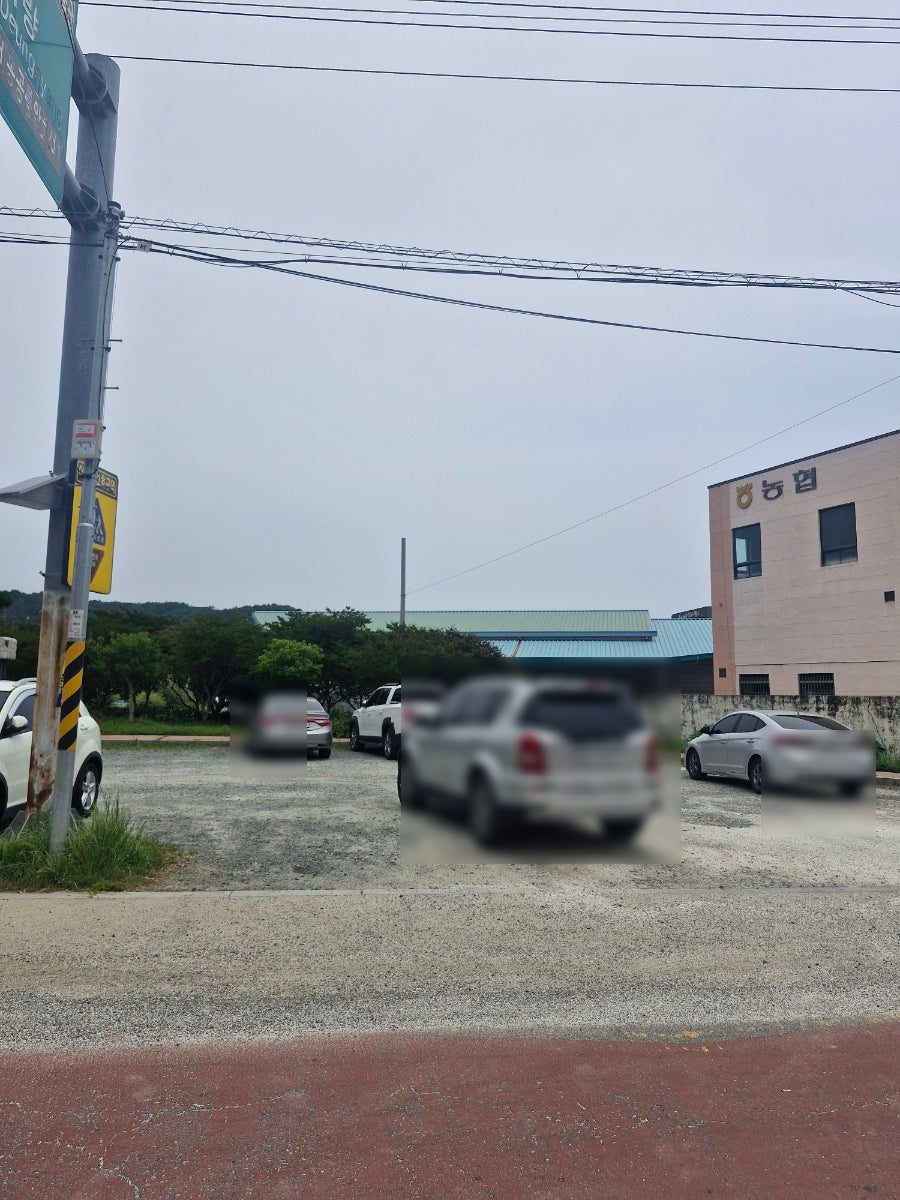 녹차향기 사진 3