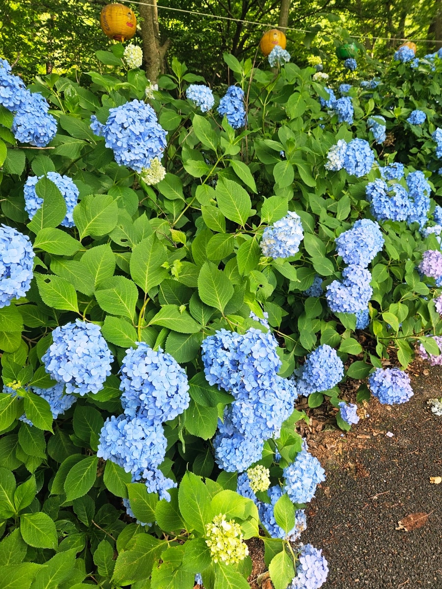 태봉산 사진 4