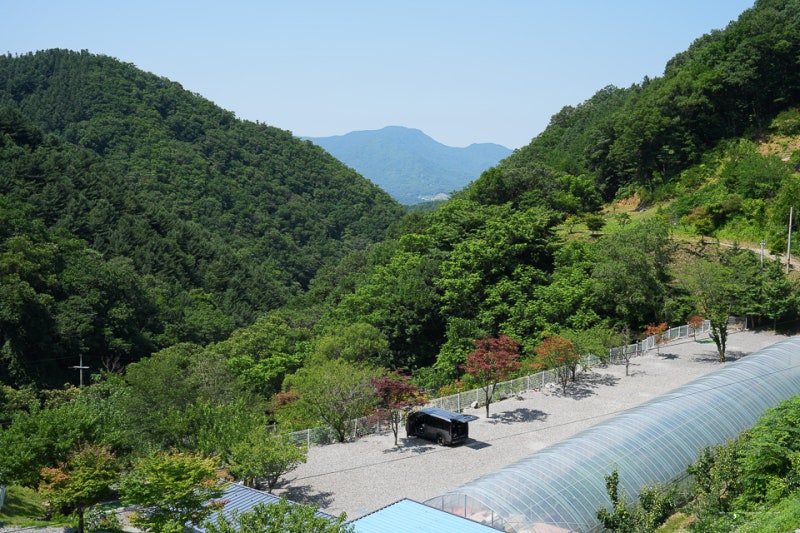 서울근교오토캠핑장 찾는다면 가평랜드 캠핑&카라반, 가평오토캠핑장 차박 후기