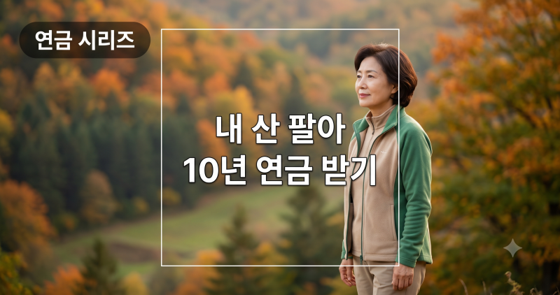 산지연금 총정리 — 대상 임야·조건·수령액 계산·양도세