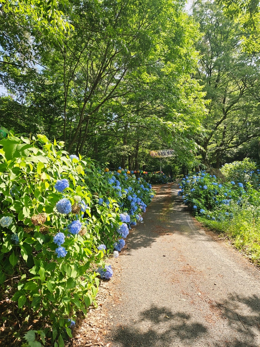 태봉산 사진 2