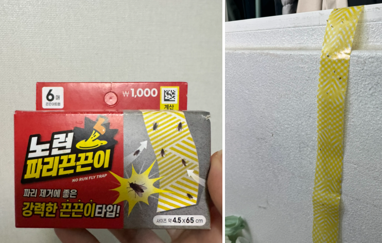 다이소 초파리,날파리퇴치 노런파리끈끈이 후기 추천:)