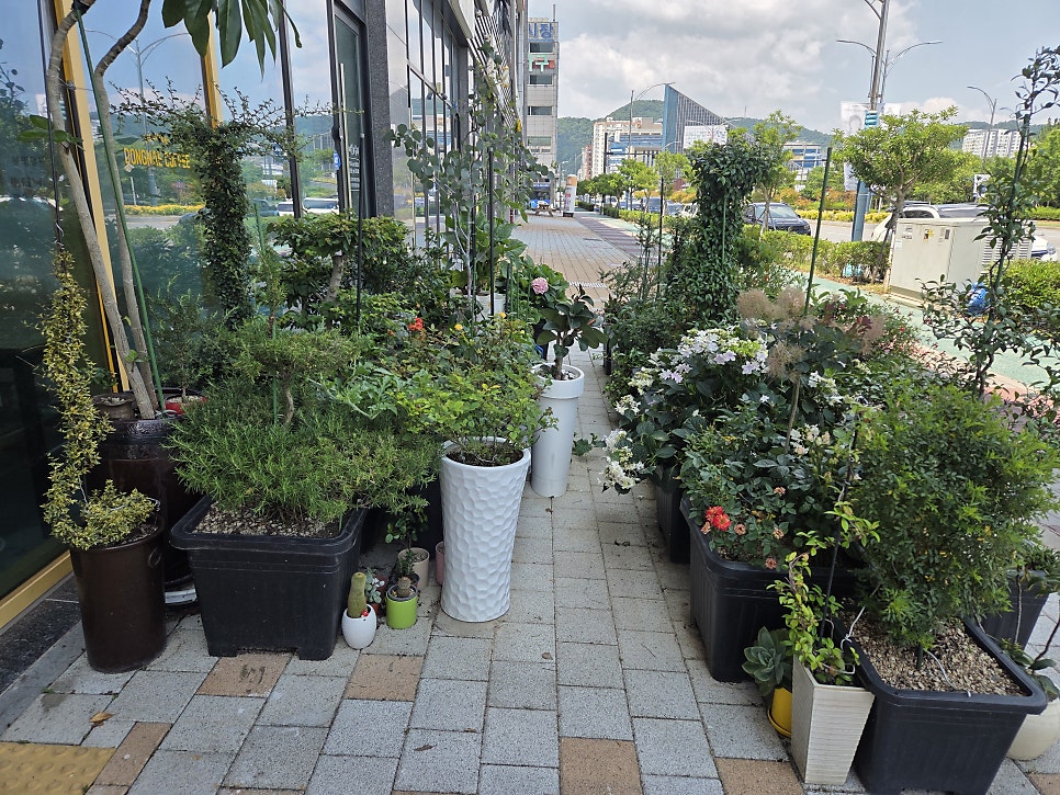 봉명동내커피 남악신도시점 사진 6