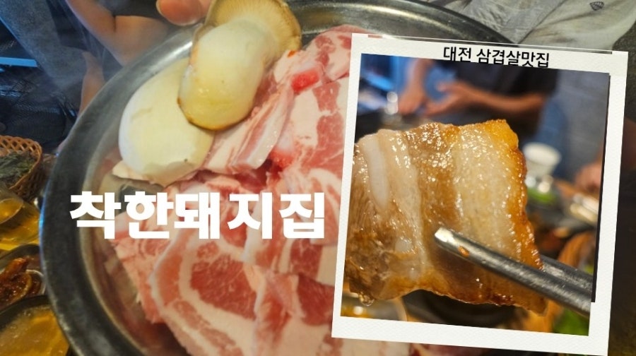 착한돼지 사진 1