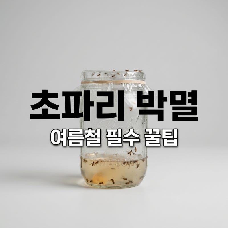 초파리 트랩 추천 및 만들기! 여름철 날파리 퇴치 비법 5가지