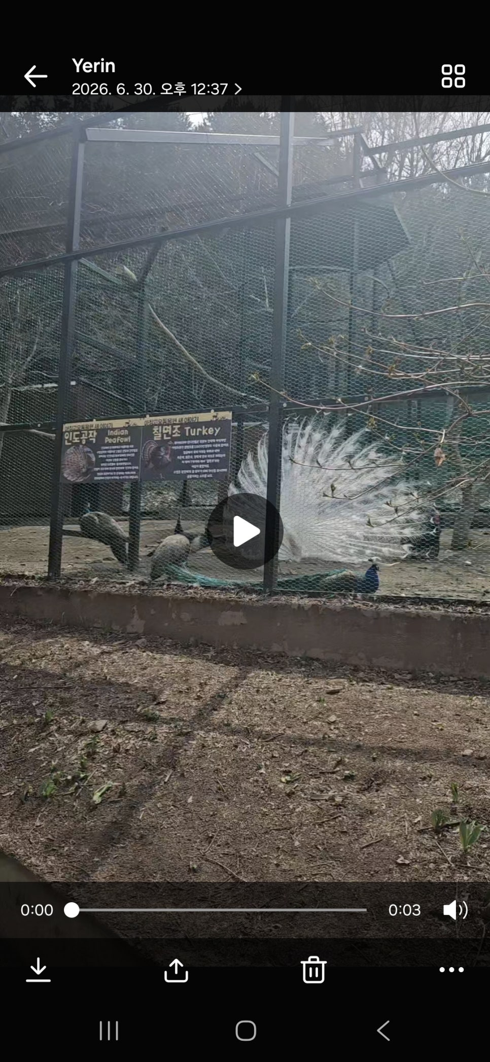 사막여우 사진 1
