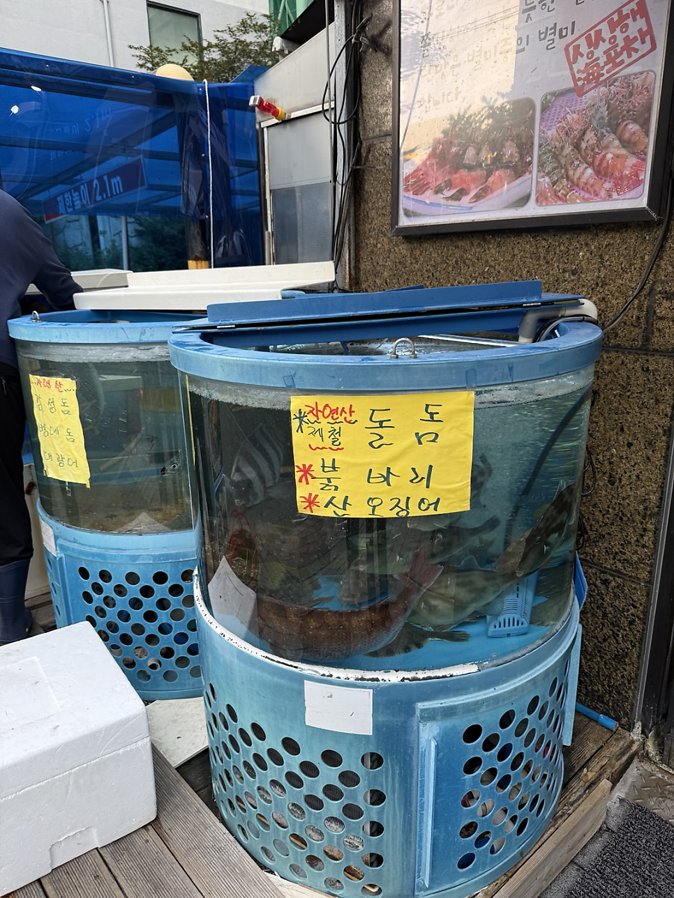 싱싱해포차 사진 3