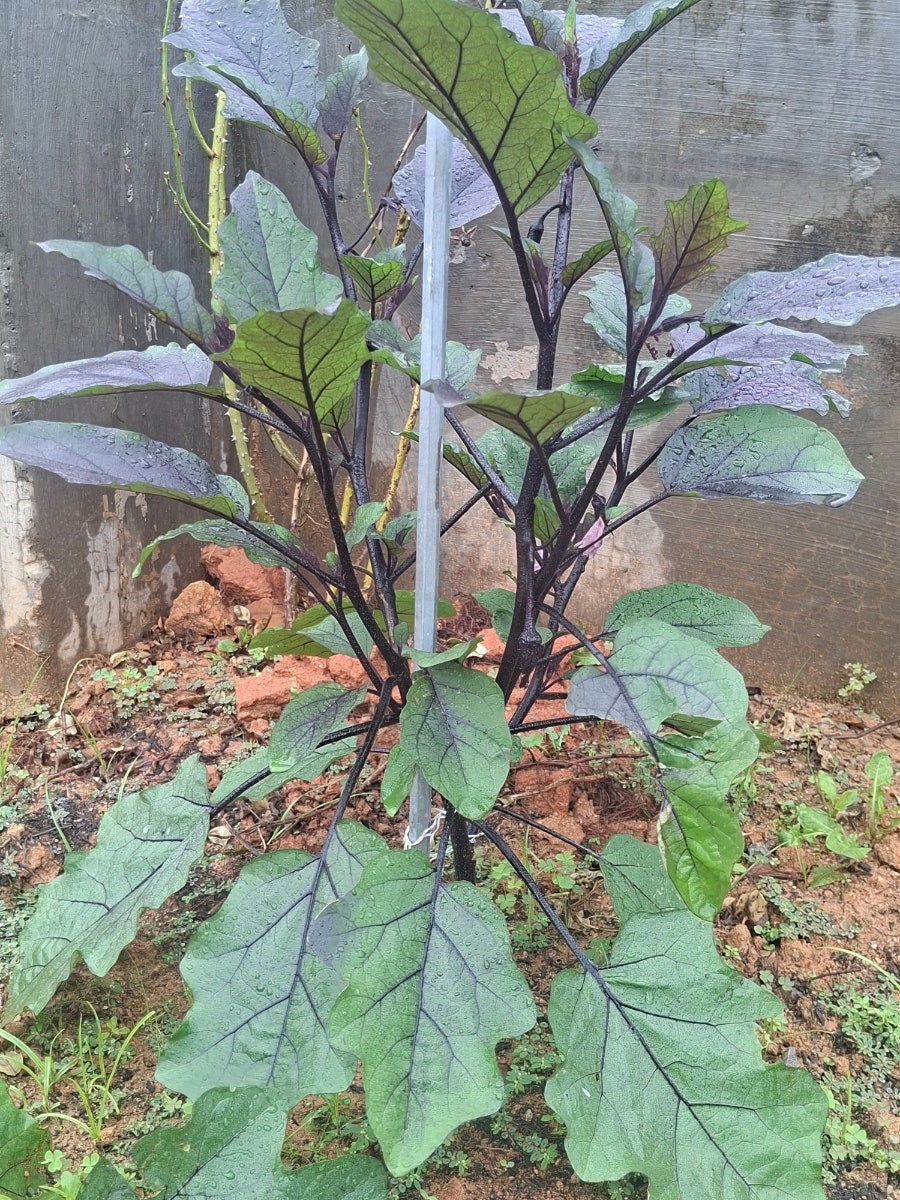 바다를담다 사진 6