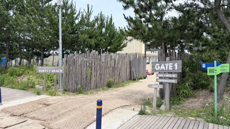 무려 9년 만에 다시 찾은 양양 하조대, '서피비치(SURFYY BEACH)'