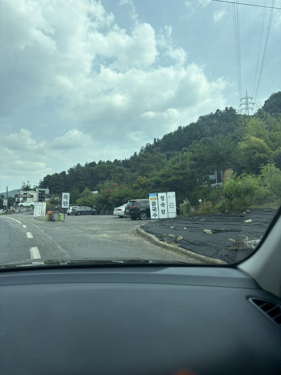 목란 사진 6