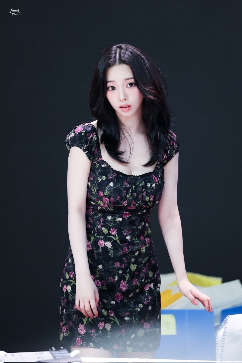 퍼프 사진 5
