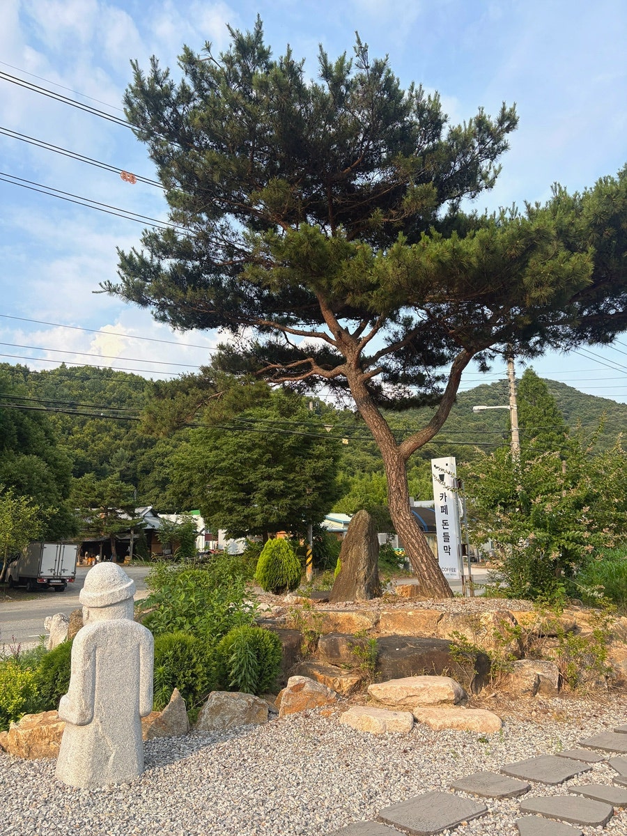 돈들막 사진 5