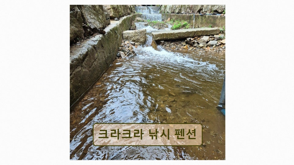크라크라낚시펜션 사진 1