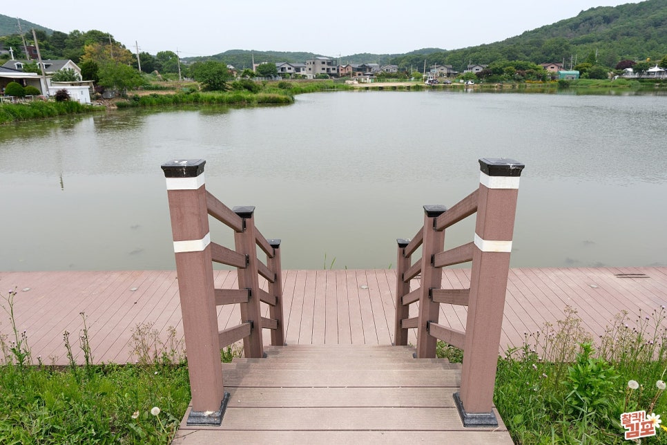 고막저수지 사진 5