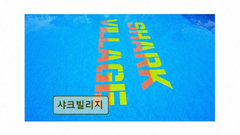 샤크빌리지 사진 2