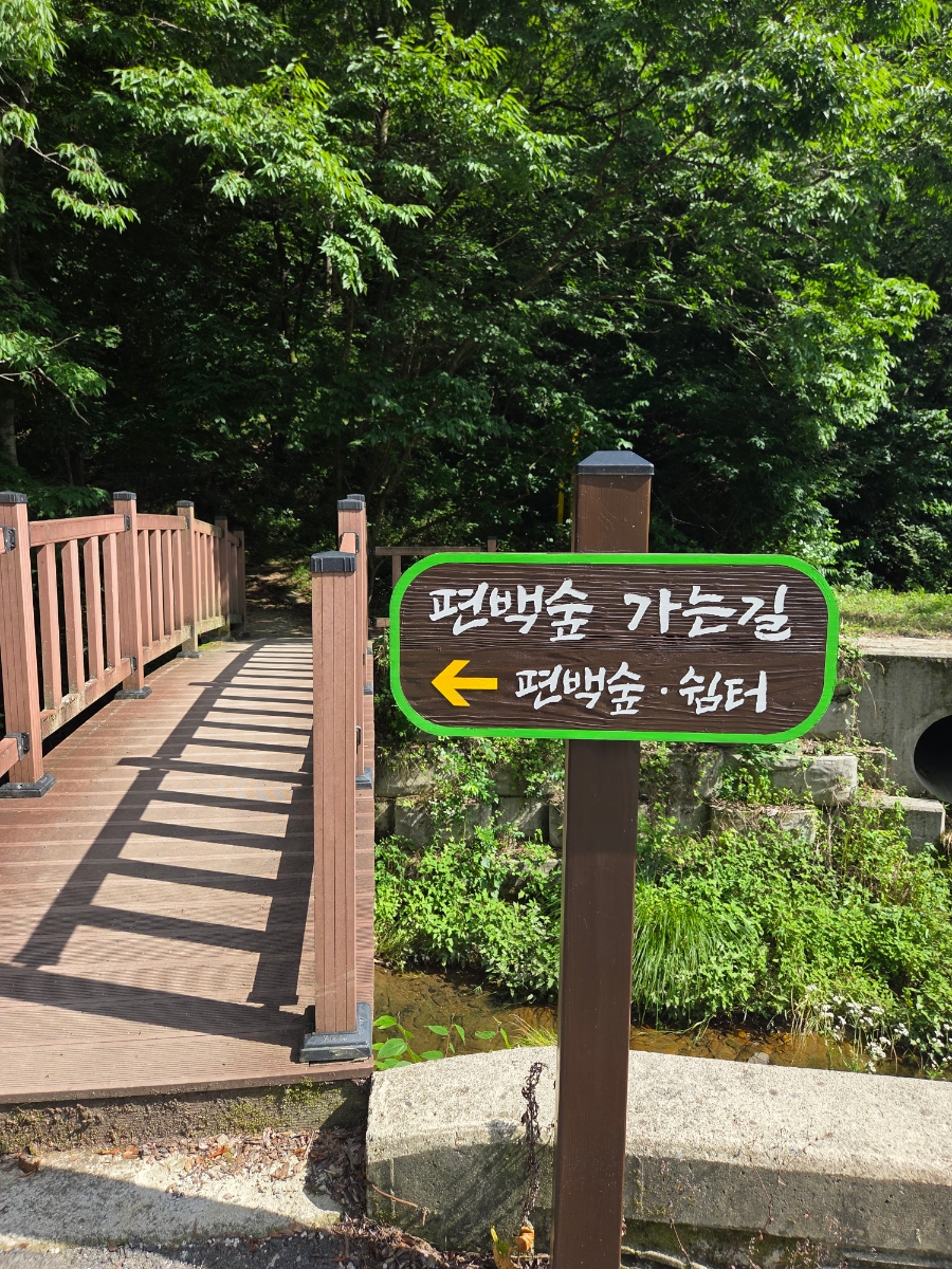 공기마을 편백나무숲 사진 5