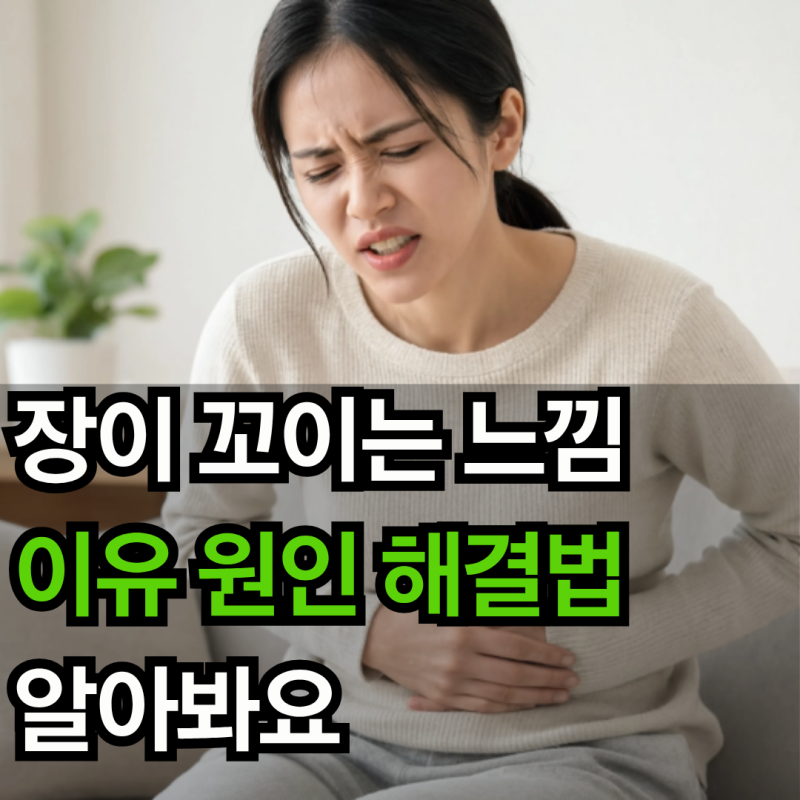장이 꼬이는 느낌 이유 원인 해결법 알아봐요