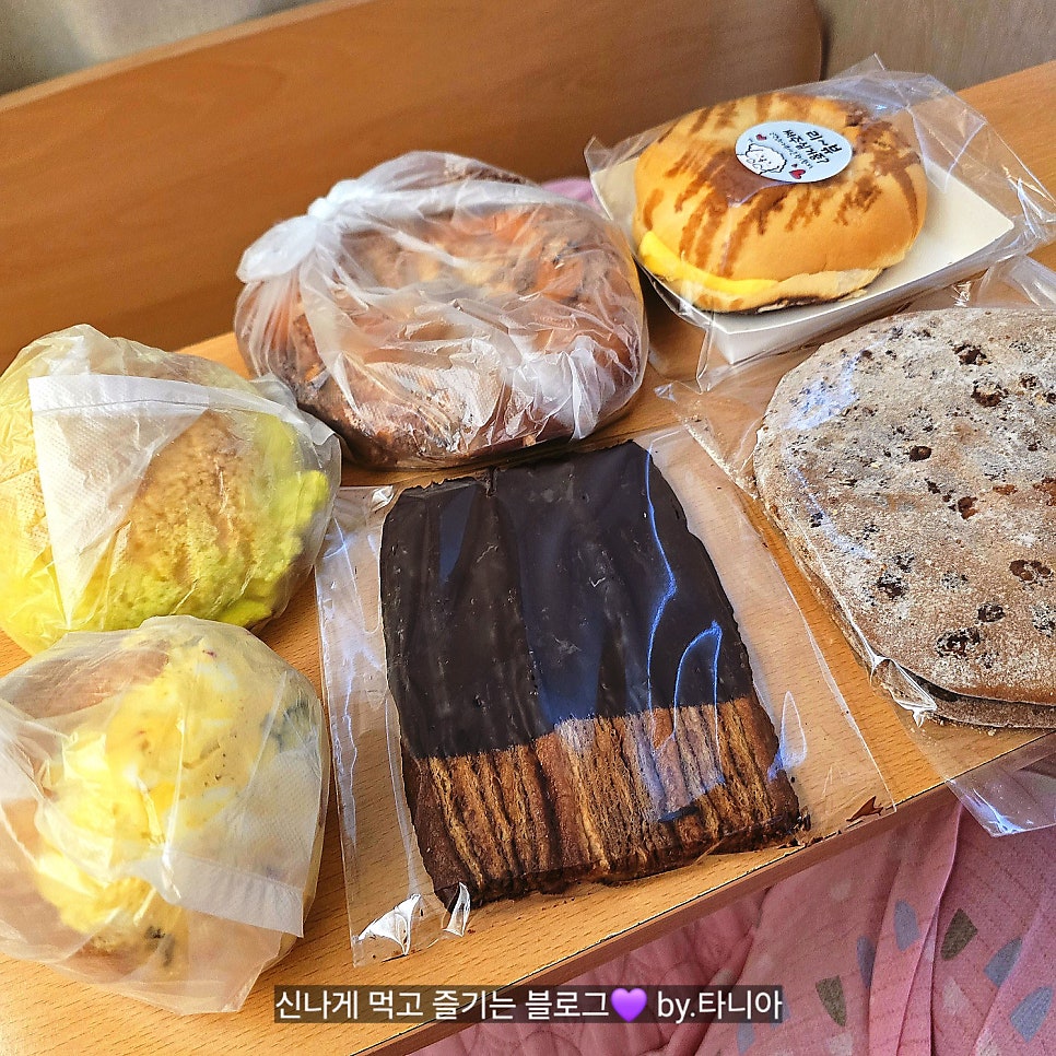힐트 사진 5