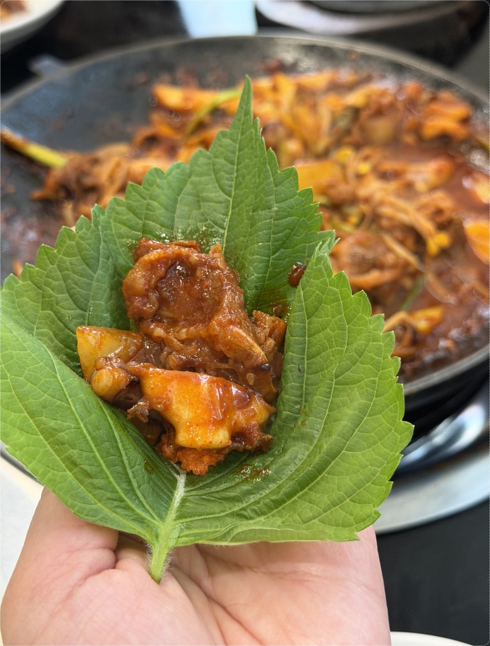 아쭈 사진 5