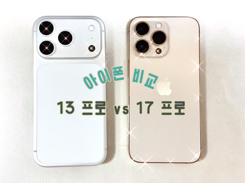 [하루담기] 마참내! 아이폰 17 Pro 내돈내산 구매 생생 후기(+카메라 성능 후기)(vs 아이폰13 Pro)