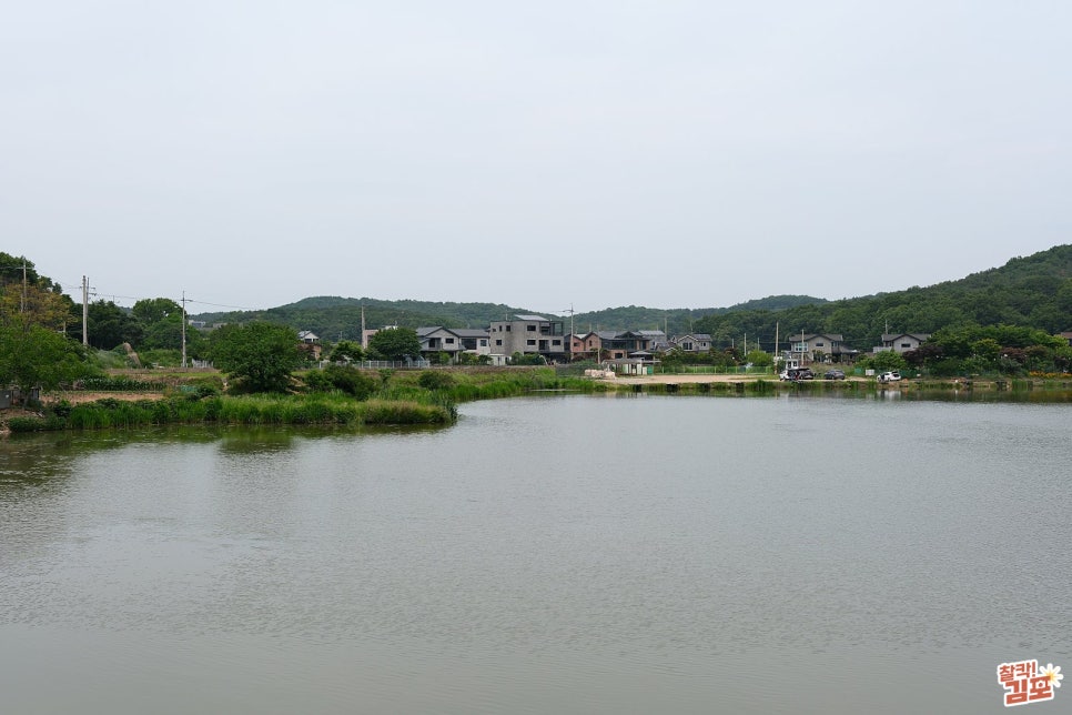 고막저수지 사진 6