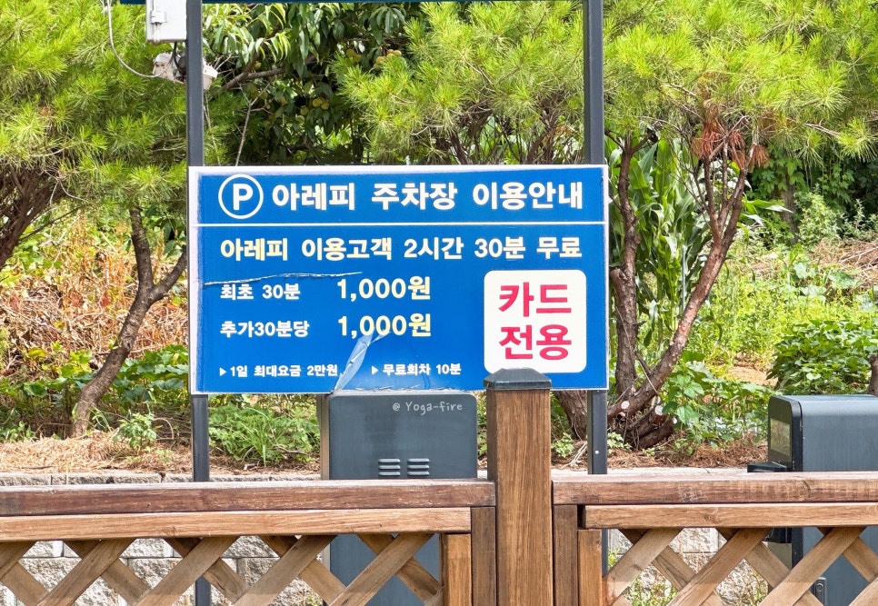 아레피 사진 5