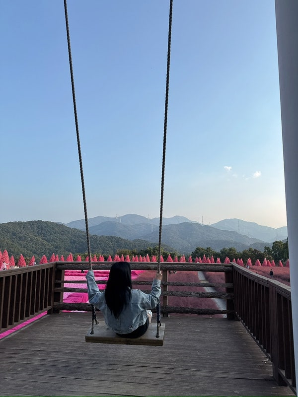 포천 허브아일렌드 구경(아트밸리/핑크뮬리/동화불빛축제)