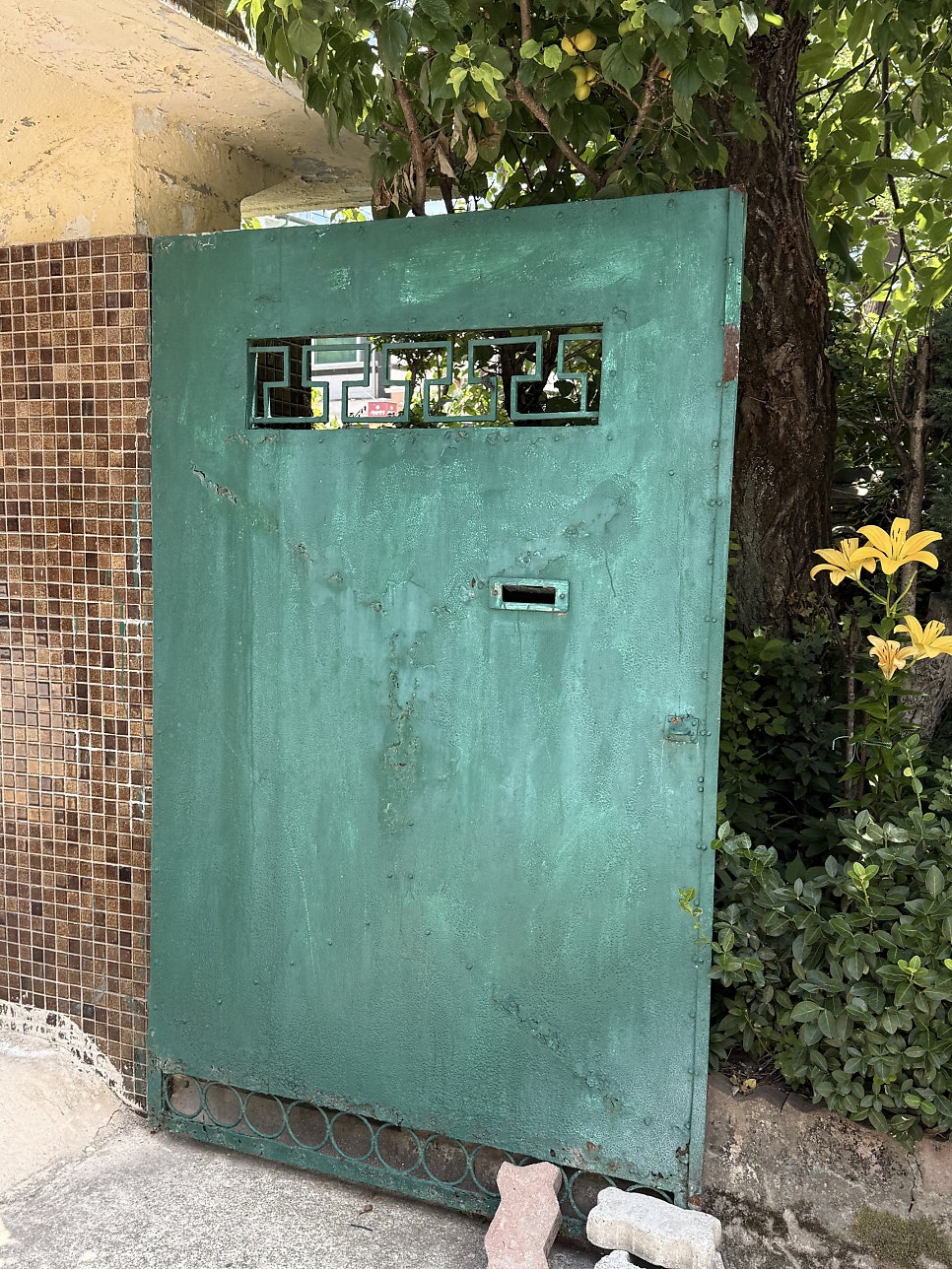 정선두부가 사진 5