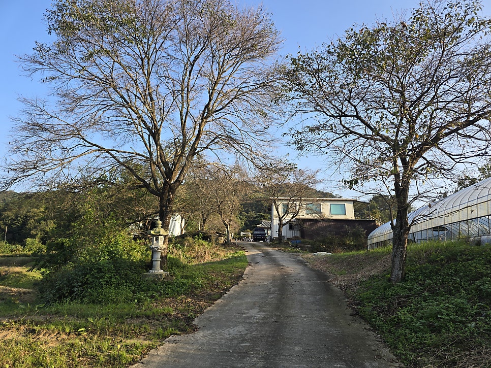 성산 사진 1