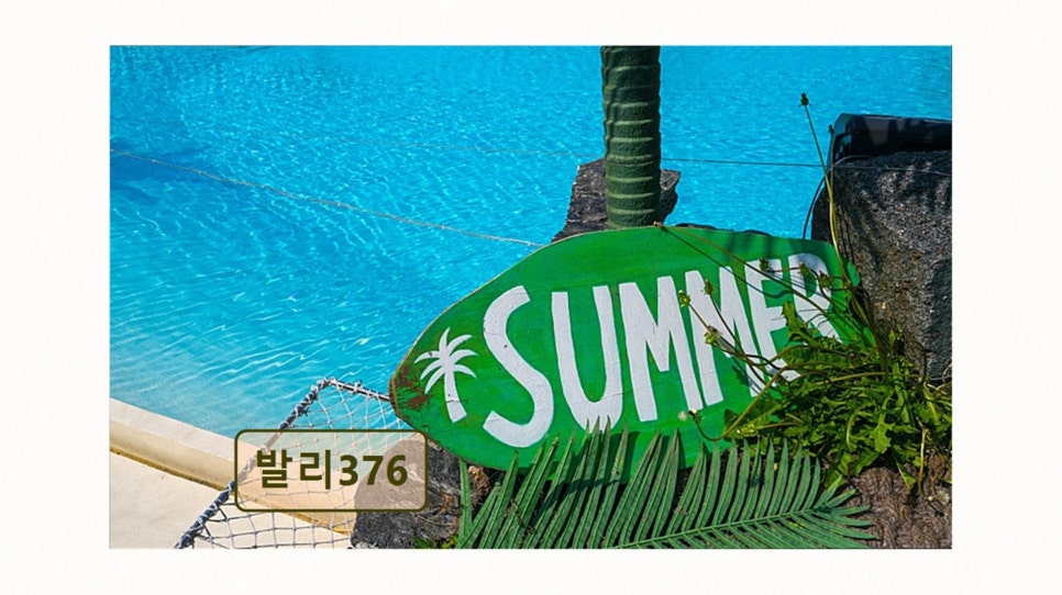 발리376 사진 2