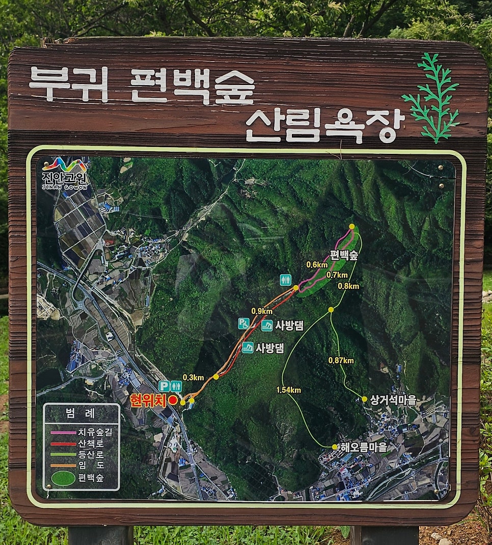 부귀편백숲산림욕장 사진 4