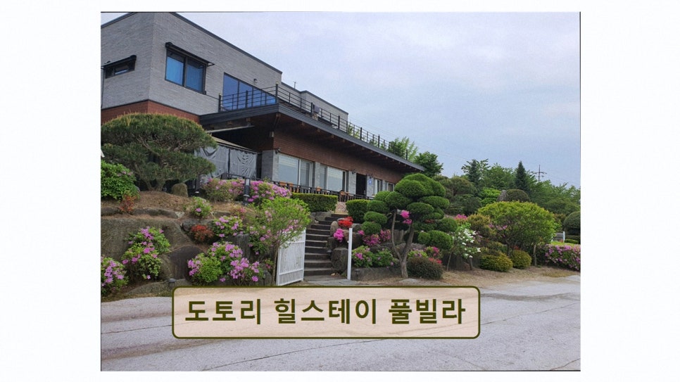 도토리 힐스테이 사진 3