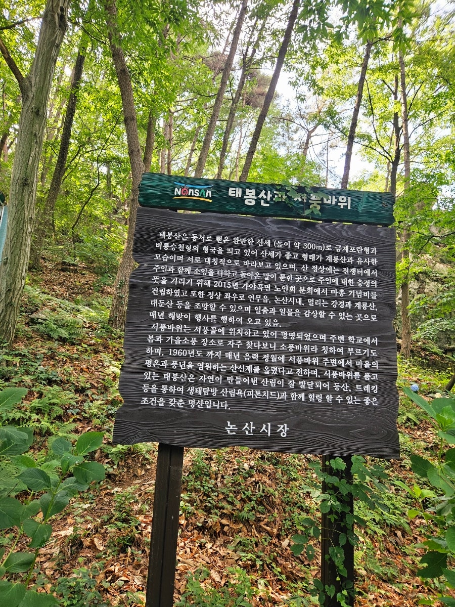 태봉산 사진 6