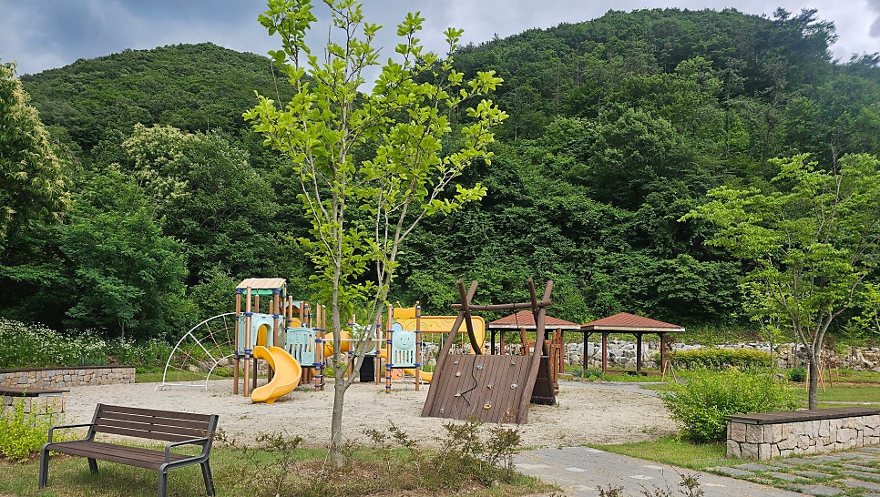 부귀편백숲산림욕장 사진 6