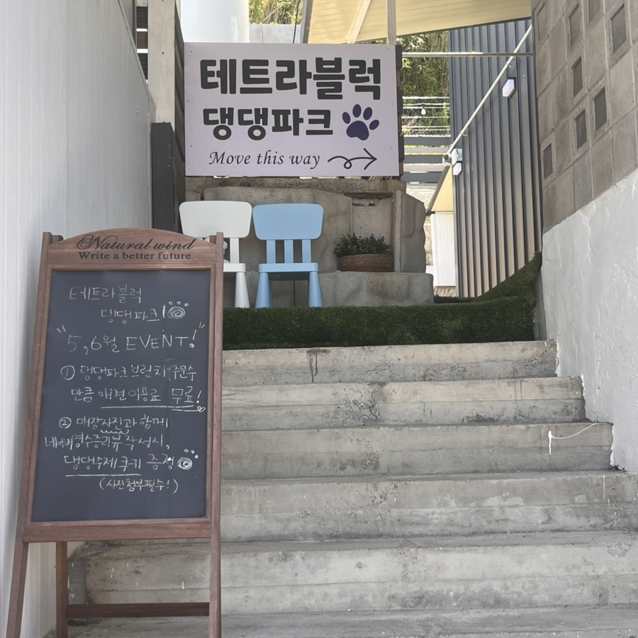 테트라블럭 댕댕파크 사진 3
